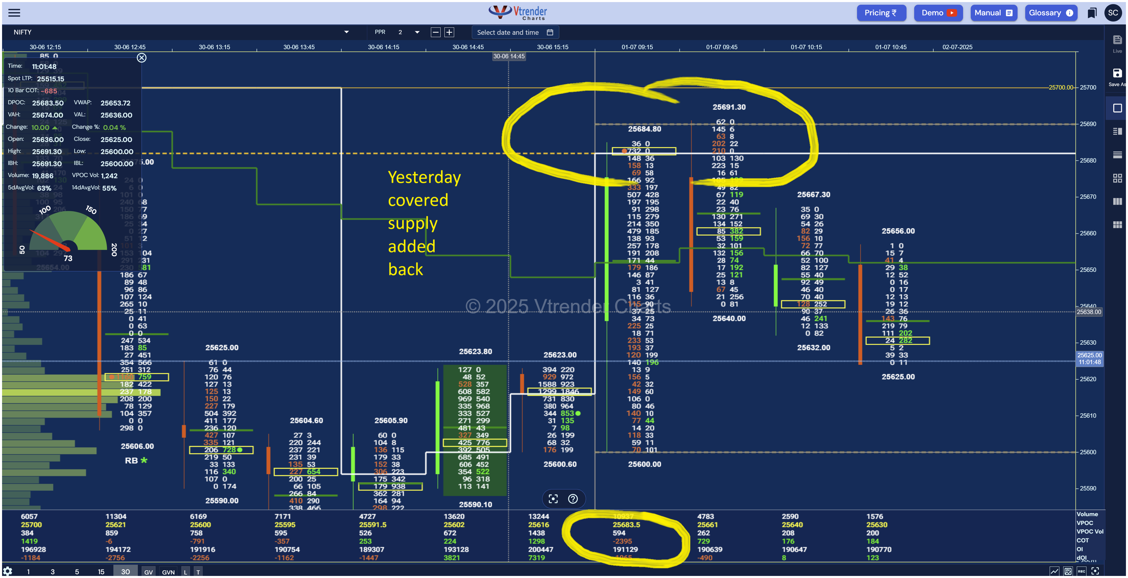 Vtrender Charts Interface