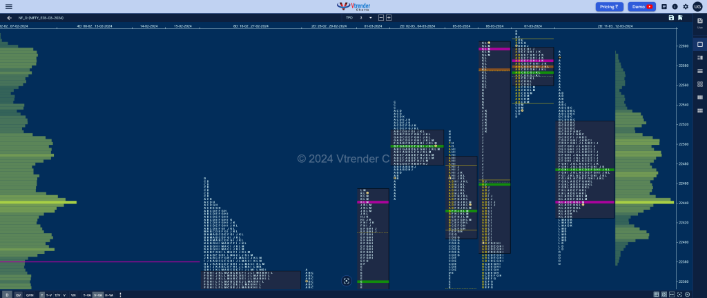 Nf 2Db Market Profile Analysis Dated 13Th March 2024 Intraday Trading