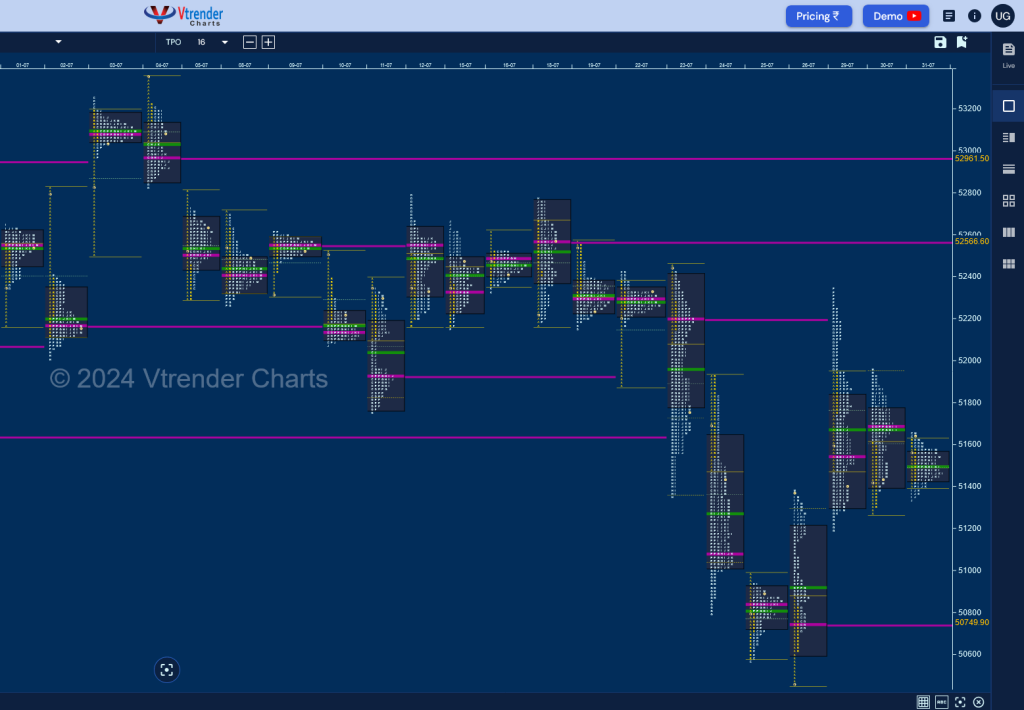 Bn M D Monthly Charts (July 2024) And Market Profile Analysis Banknifty Futures, Charts, Day Trading, Intraday Trading, Intraday Trading Strategies, Market Profile, Market Profile Trading Strategies, Nifty Futures, Order Flow Analysis, Support And Resistance, Technical Analysis, Trading Strategies, Volume Profile Trading