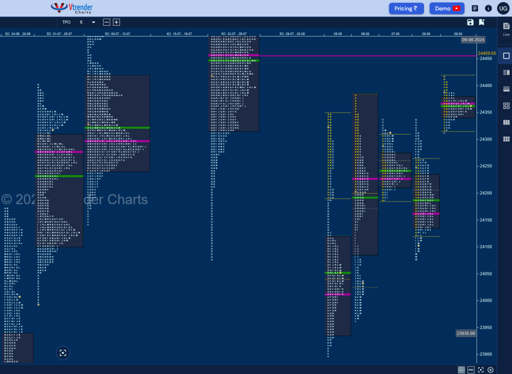 N W D 1 Weekly Spot Charts (05Th To 09Th Aug 2024) And Market Profile Analysis Banknifty Futures, Charts, Day Trading, Intraday Trading, Intraday Trading Strategies, Market Profile, Market Profile Trading Strategies, Nifty Futures, Order Flow Analysis, Support And Resistance, Technical Analysis, Trading Strategies, Volume Profile Trading