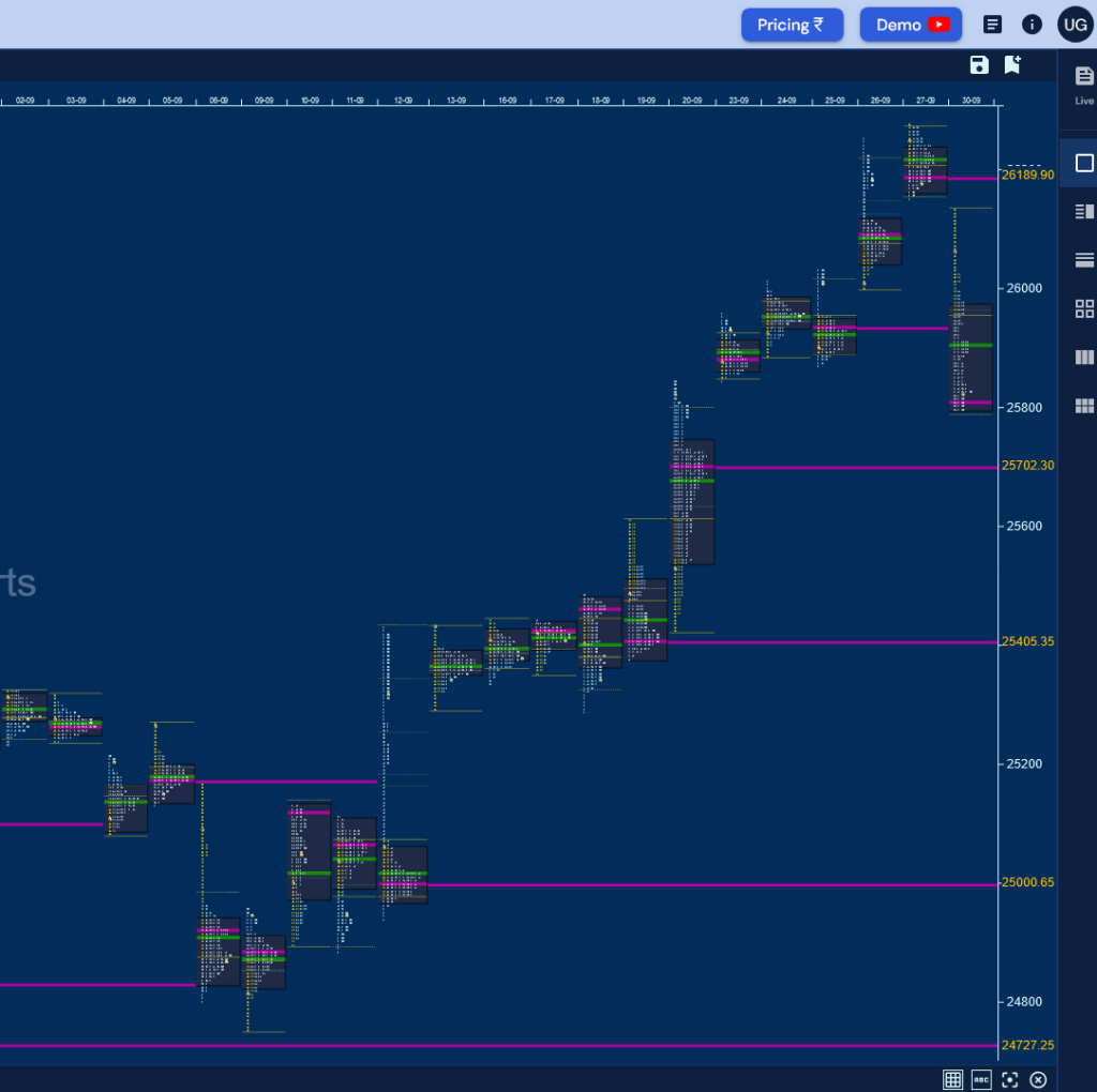 N M D Monthly Charts (September 2024) And Market Profile Analysis